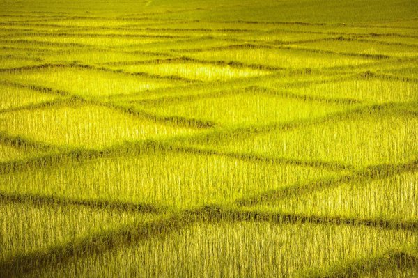 Transform your maintenance approach with management software